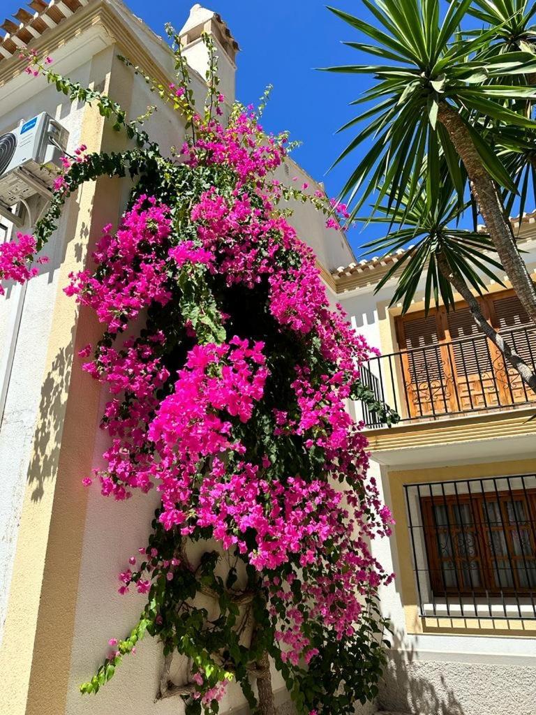 Casa Veratense Vera Playa Playas de Vera Dış mekan fotoğraf
